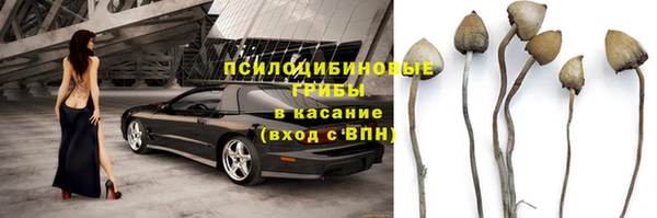 ALPHA PVP Аркадак